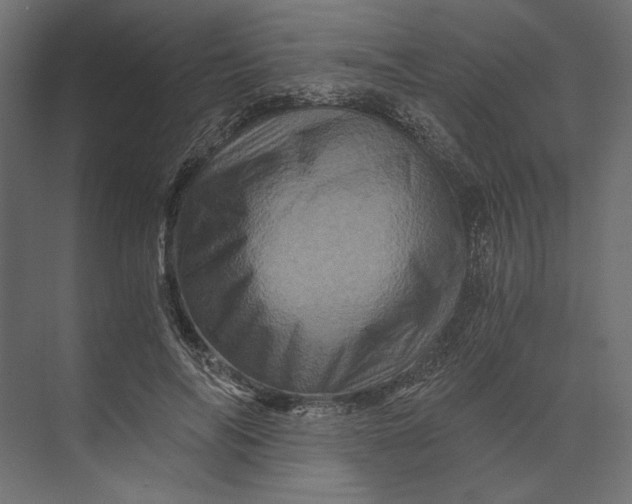 X0000073430694200608181147