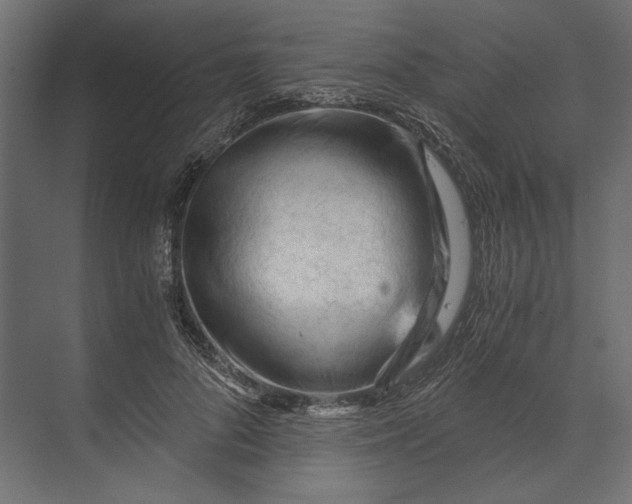 X0000073430696200608181147