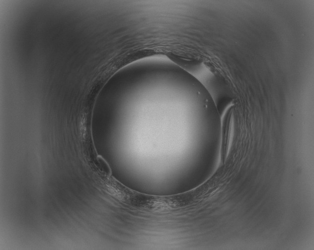 X0000073430697200608181147