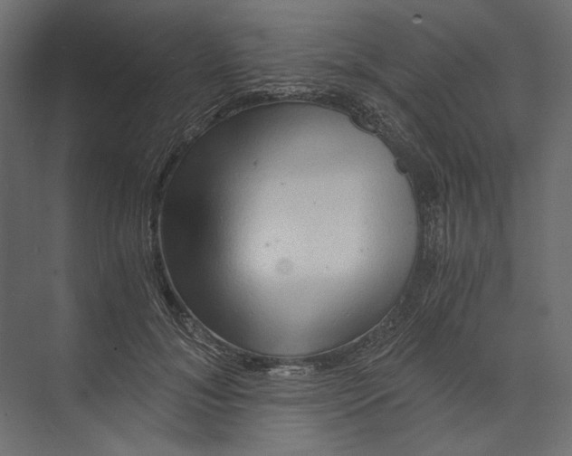 X0000073430700200608181147