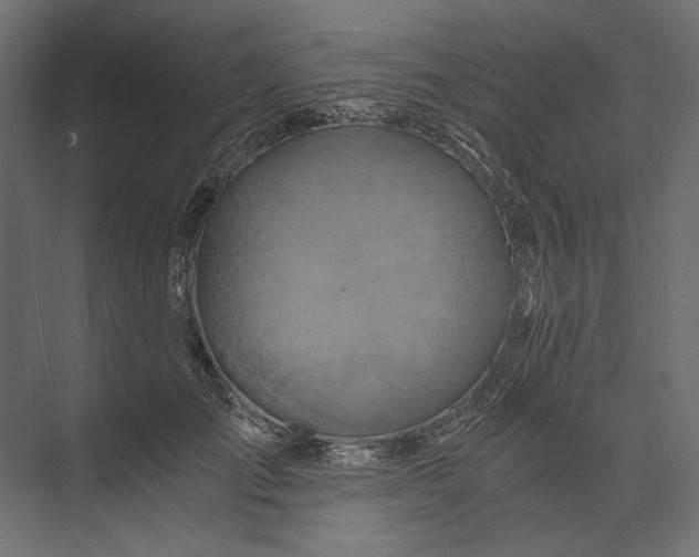 X0000073430701200608181147