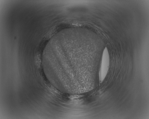 X0000073430707200608181147