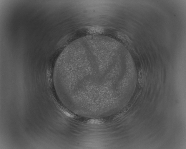 X0000073430714200608181147