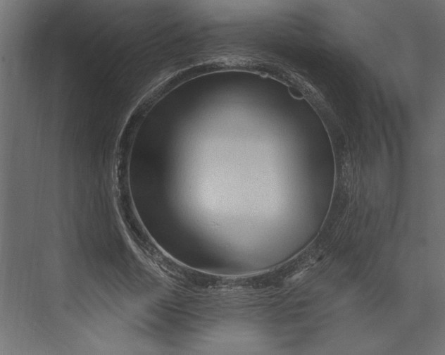 X0000073430730200608181146