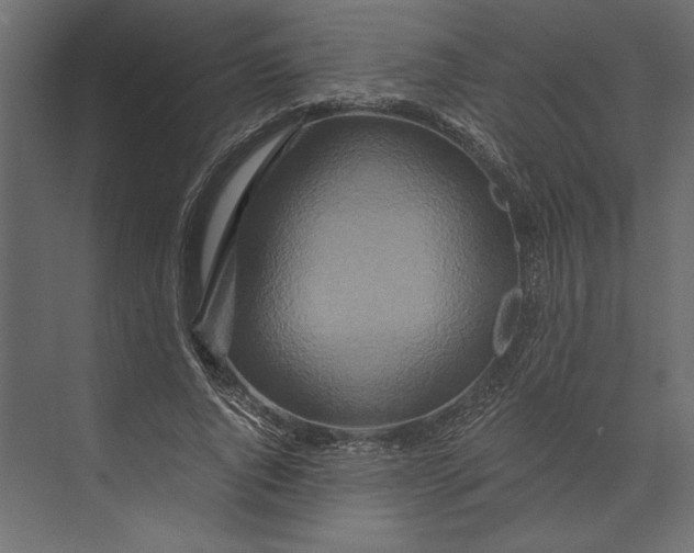 X0000073430736200608181146