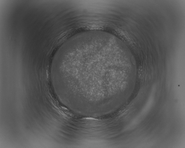 X0000073430741200608181146
