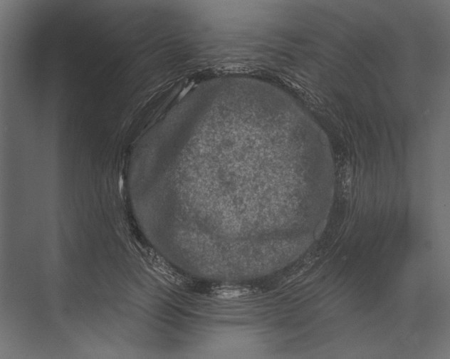 X0000073430746200608181146