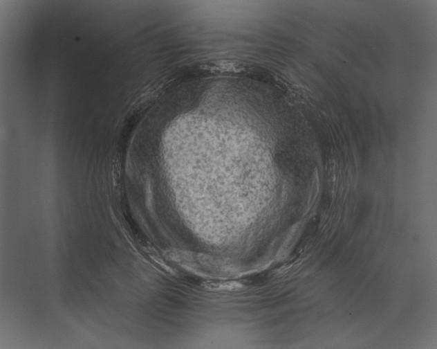 X0000073430747200608181146