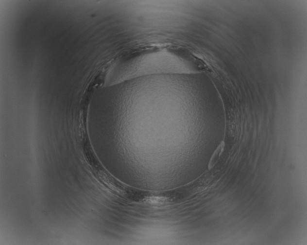 X0000073430748200608181146