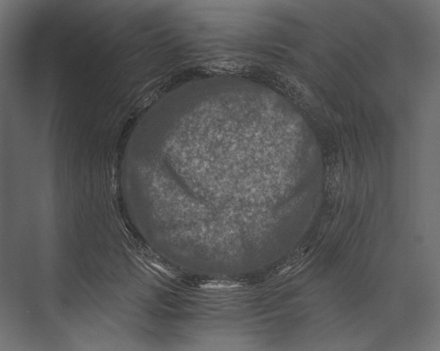X0000073430749200608181146