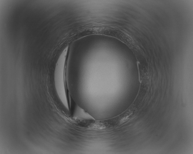 X0000073430750200608181146