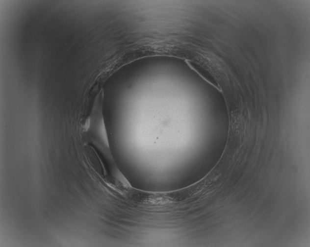 X0000073430752200608181146