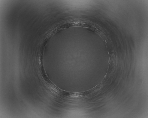 X0000073430754200608181146