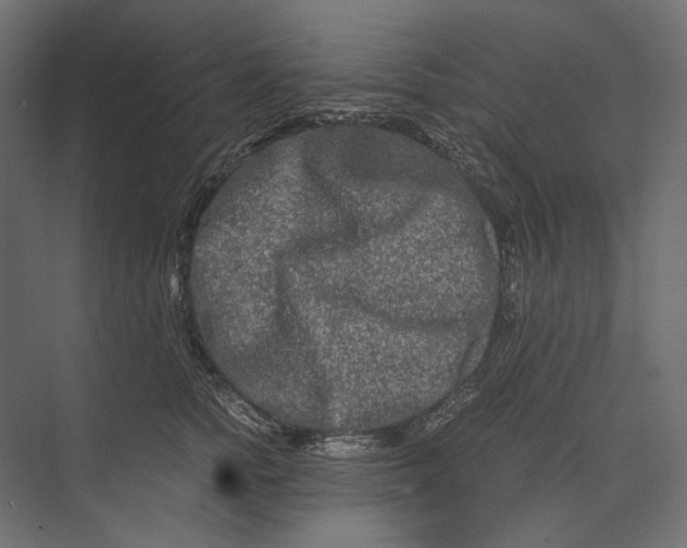 X0000073430758200608181147