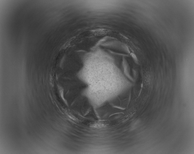 X0000073430759200608181147