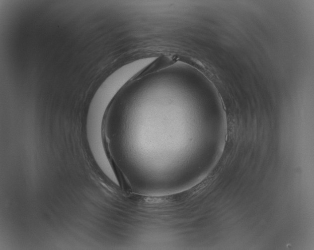 X0000073430766200608181147
