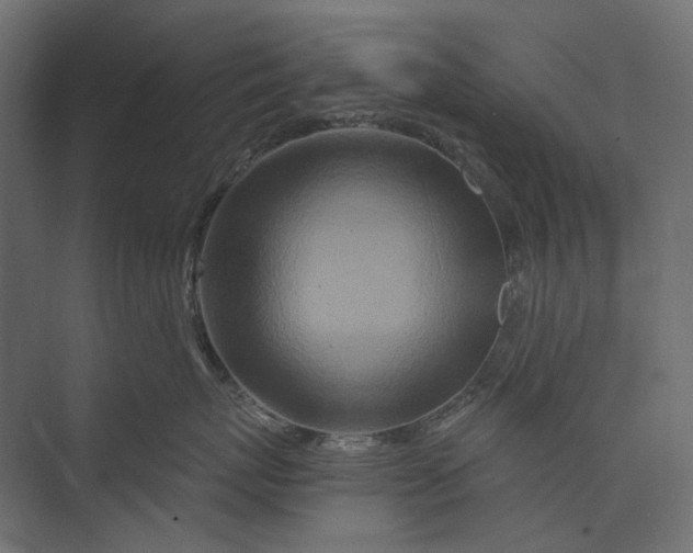 X0000073430767200608181147