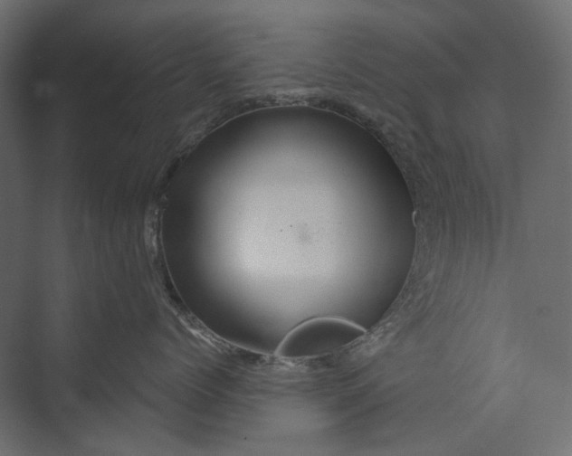X0000073430768200608181147