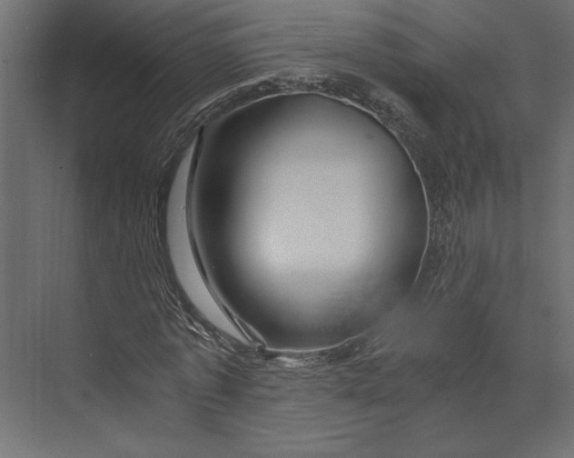 X0000073430773200608181146