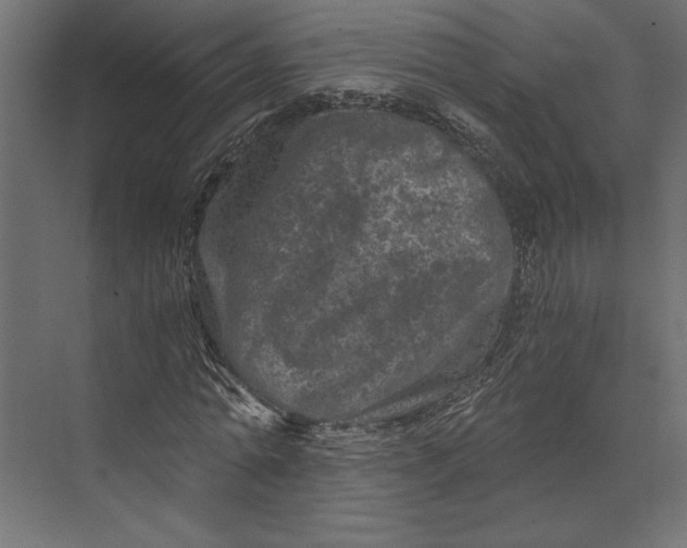 X0000073430774200608181146