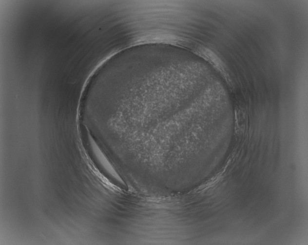 X0000073430780200608181146