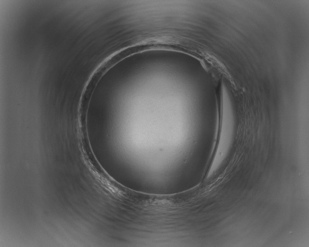 X0000073430784200608181146