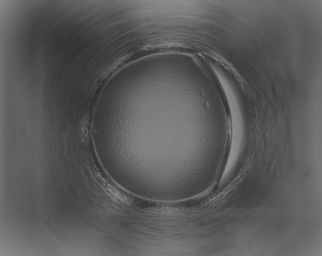 X0000073430785200608181146