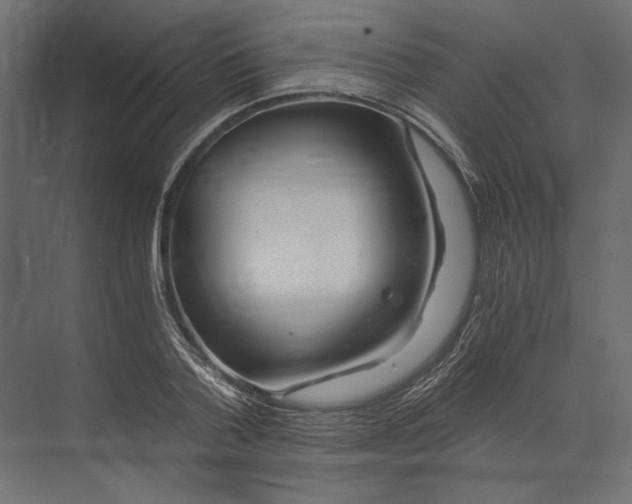 X0000073430788200608181146