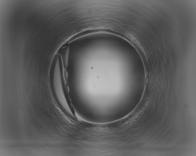 X0000073430789200608181146