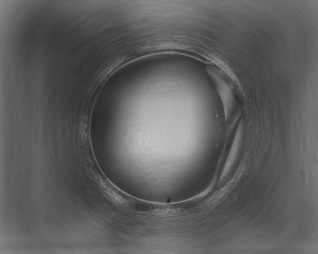 X0000073430793200608181145