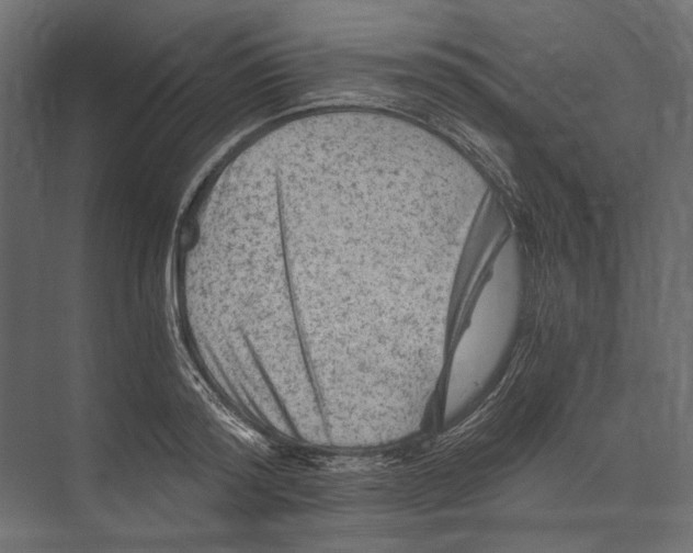 X0000073430796200608181145