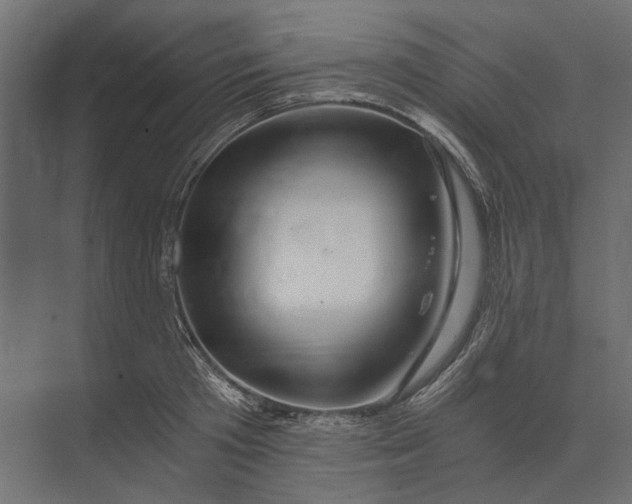X0000073430801200608181145