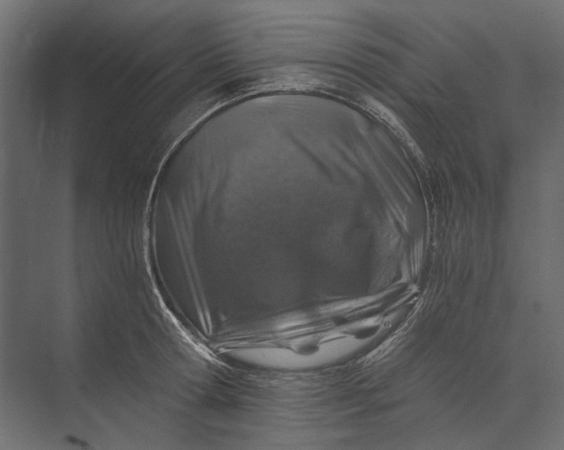 X0000073430802200608181145