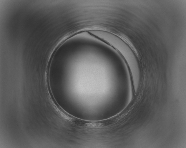 X0000073430805200608181145