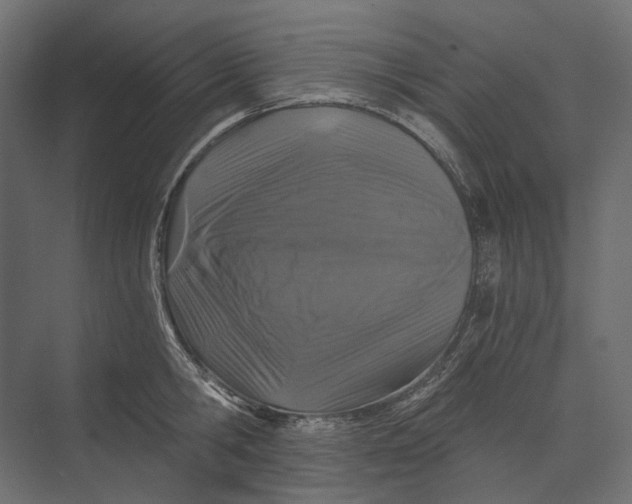 X0000073430806200608181145