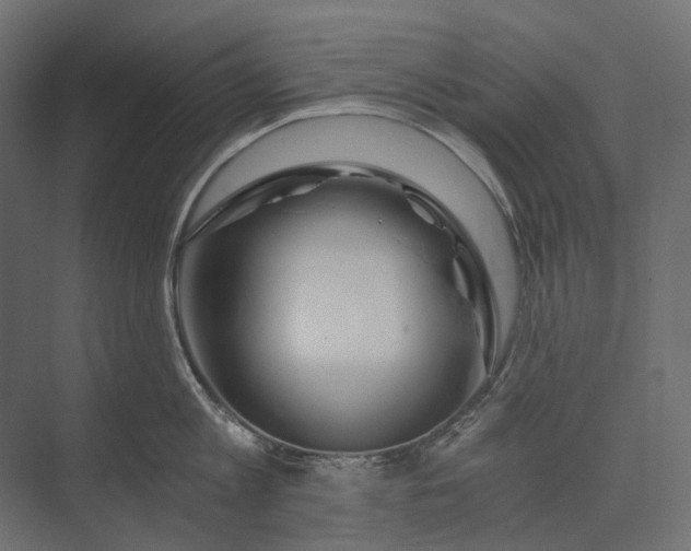 X0000073430813200608181145