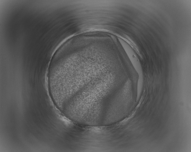 X0000073430814200608181145