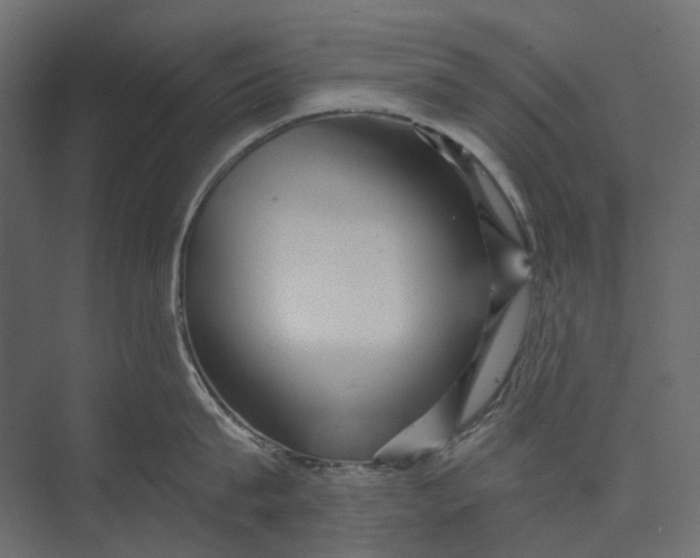 X0000073430815200608181145