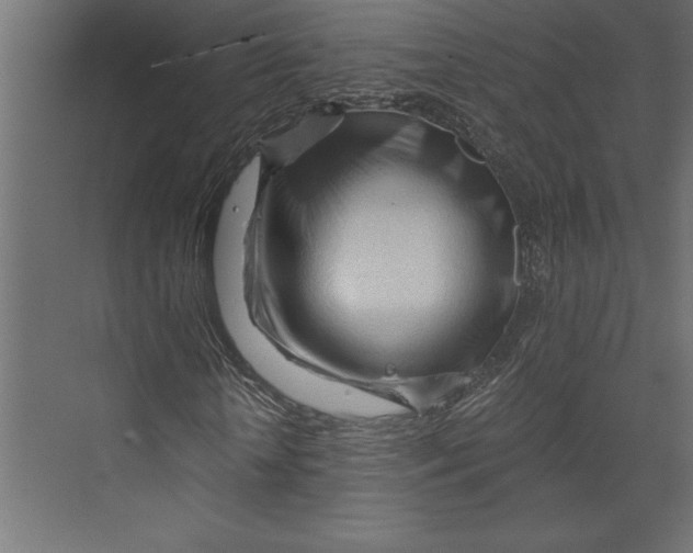 X0000073430818200608181144
