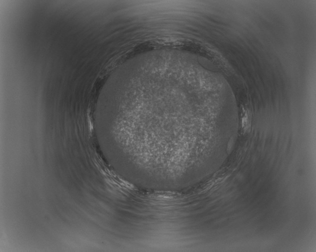 X0000073430819200608181144
