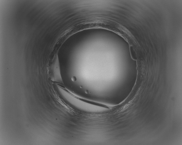X0000073430826200608181144