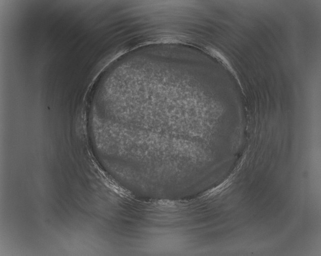 X0000073430827200608181144