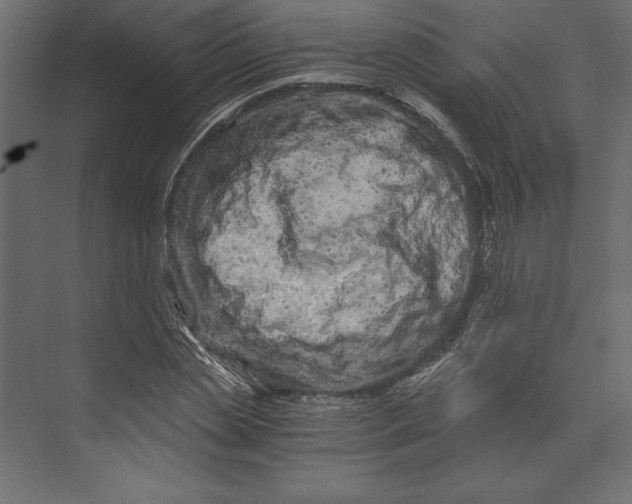 X0000073430829200608181144