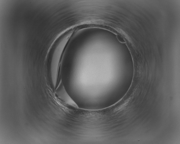 X0000073430830200608181145