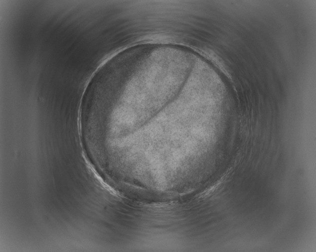 X0000073430839200608181145