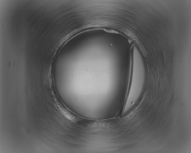 X0000073430842200608181145