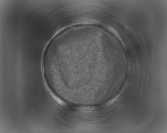 X0000073430843200608181145
