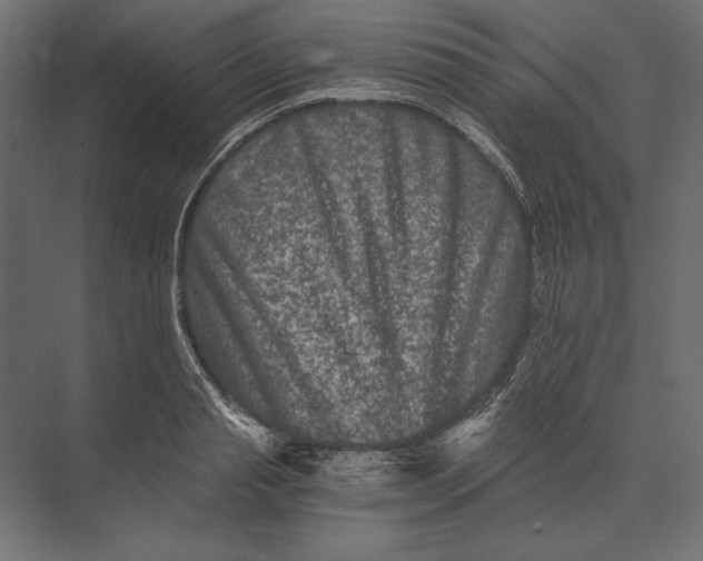 X0000073430845200608181145