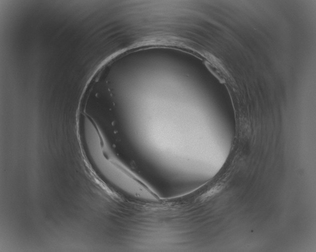 X0000073430846200608181145