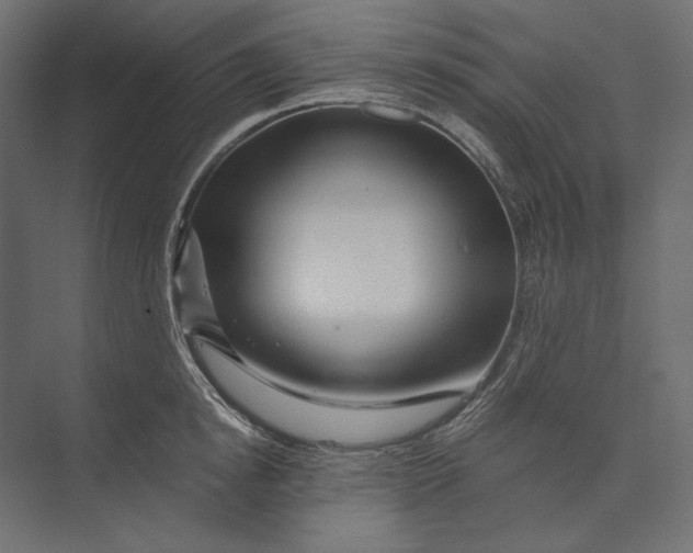 X0000073430854200608181145